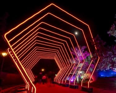 Imagen del evento: REGALA MIRAMAR MAGIKOA 04/12/2025  - 05/01/2026