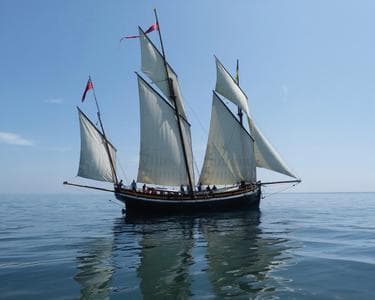 Imagen del evento: VISITAS A GRAYHOUND