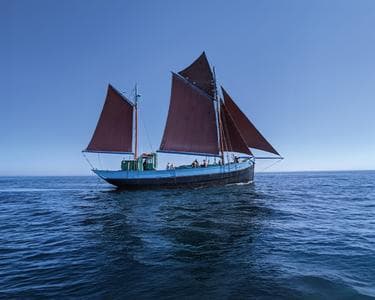 Imagen del evento: VISITAS A NOTRE DAME DE RUMENGOL