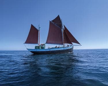 Imagen del evento: NAVEGACIÓN EN NOTRE DAME DE RUMENGOL
