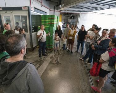 Imagen del evento: VISITA GUIADA AL FESTIVAL