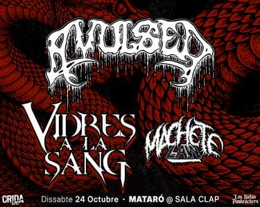 Imagen del evento: AVULSED + VIDRES A LA SANG + MACHETE LAW