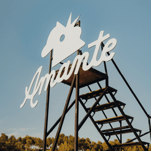 Imagen del evento: FESTIVAL AMANTE